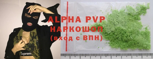 экстази Бородино