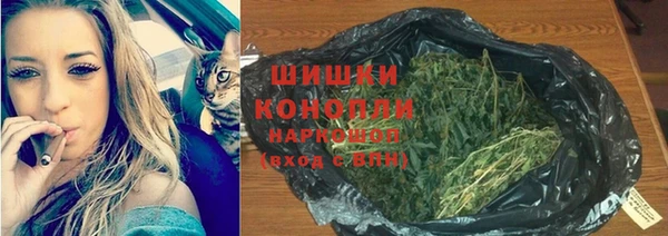 соль ск Бронницы